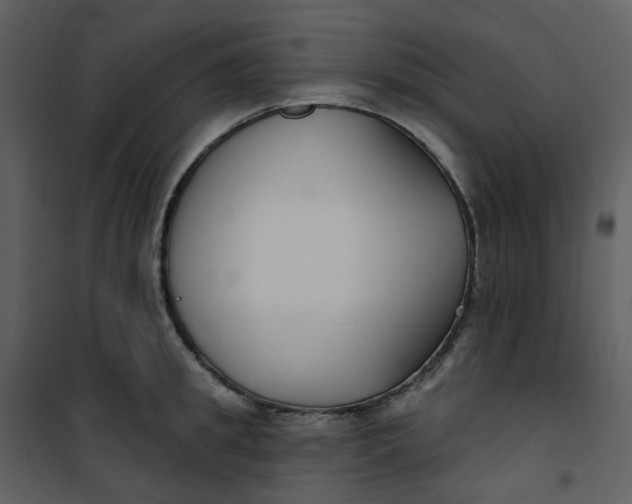 X0000101180949200807181444