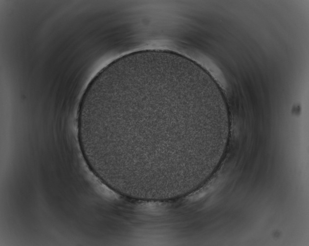 X0000101180950200807181444