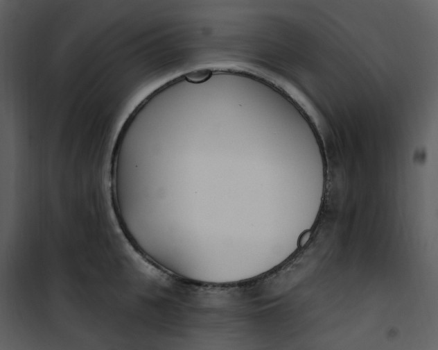 X0000101180951200807181444