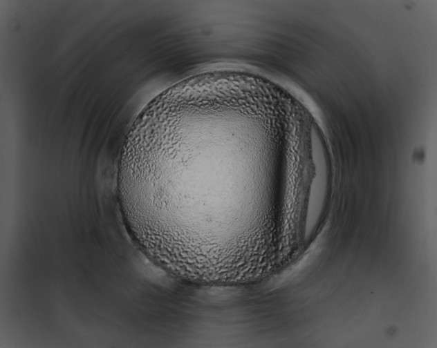 X0000101180953200807181444