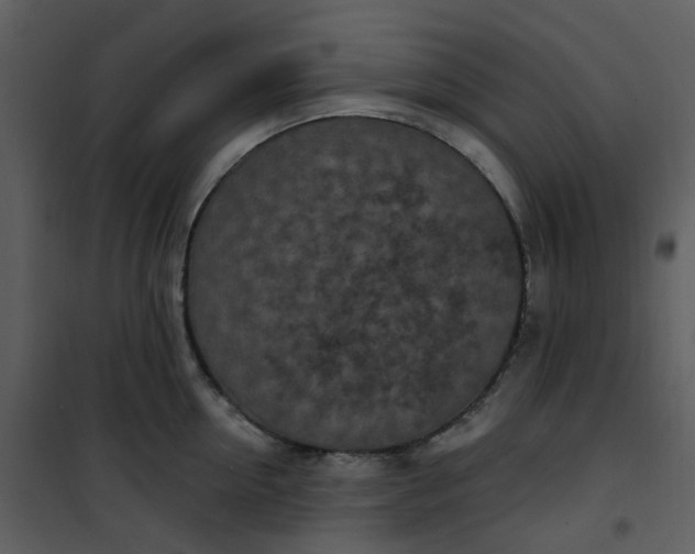 X0000101180954200807181445