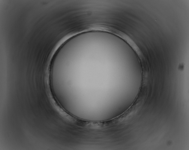 X0000101180955200807181445