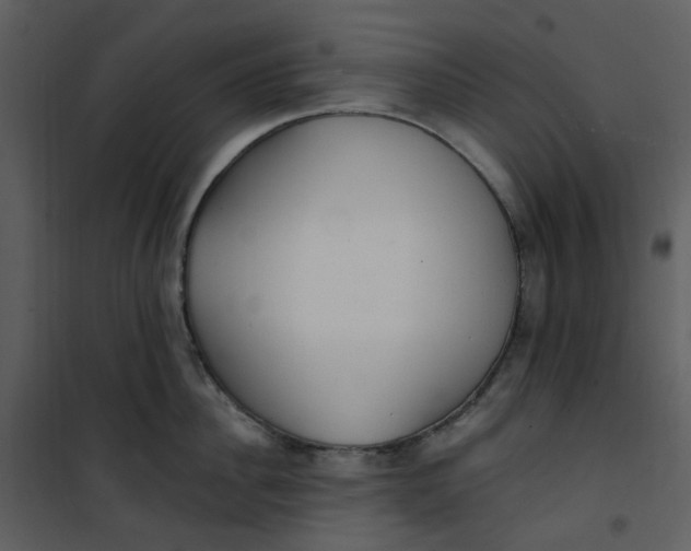 X0000101180956200807181445