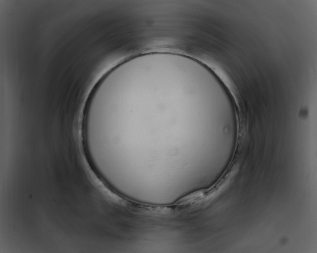 X0000101180957200807181445