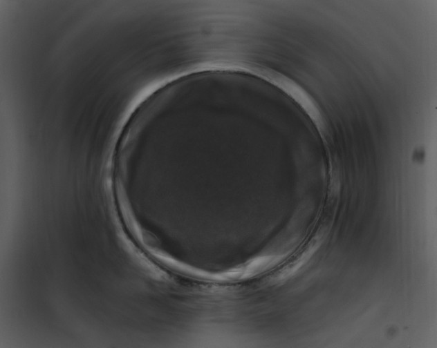 X0000101180958200807181445