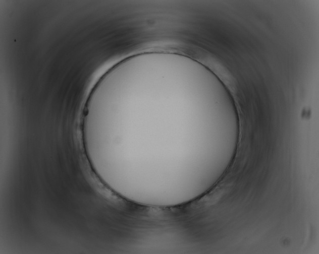 X0000101180960200807181445