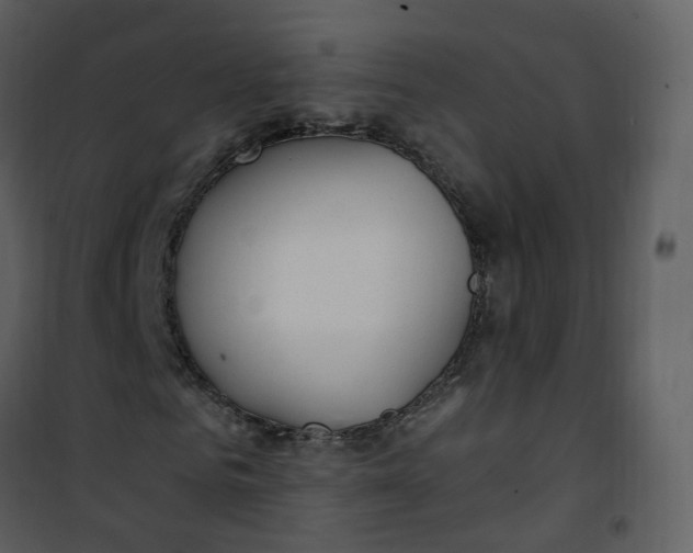 X0000101180961200807181444