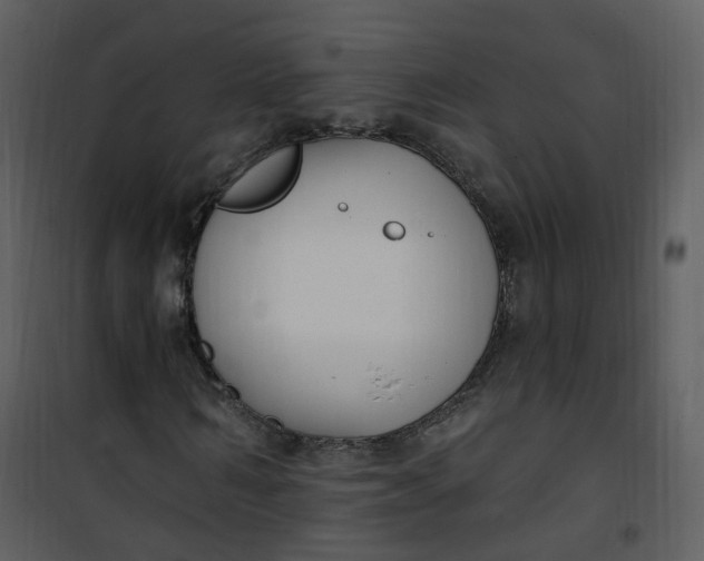 X0000101180962200807181444