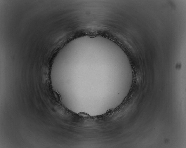 X0000101180964200807181444