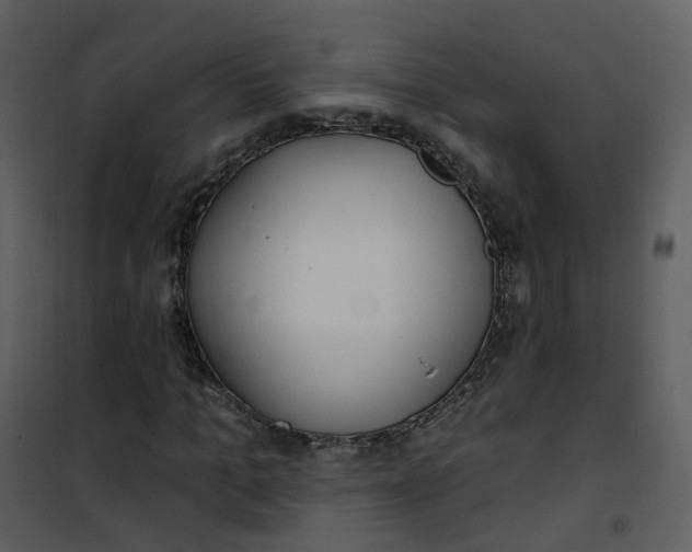 X0000101180965200807181444