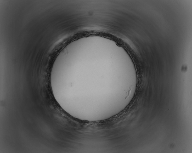 X0000101180967200807181444