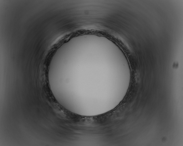 X0000101180968200807181444