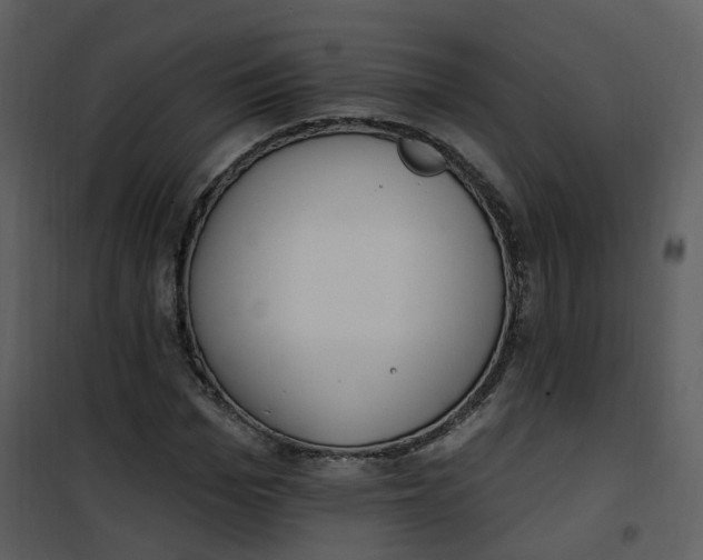 X0000101180969200807181444