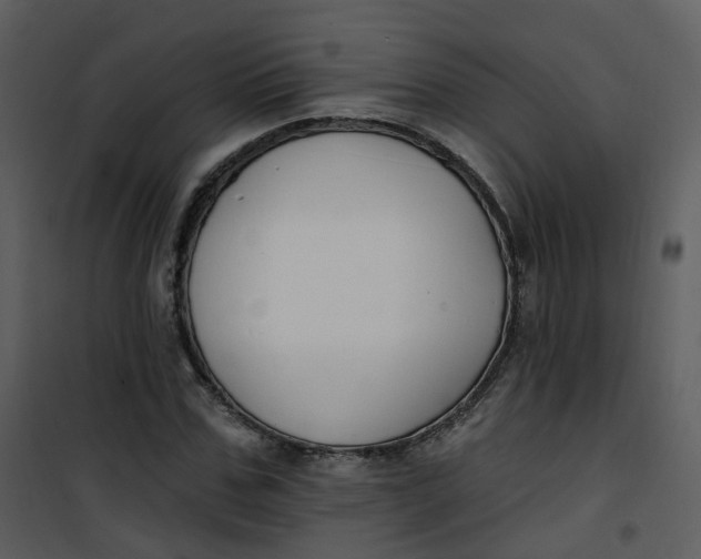 X0000101180971200807181444