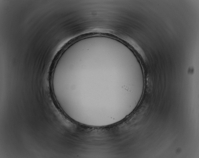 X0000101180972200807181444