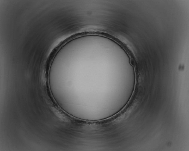 X0000101180973200807181444