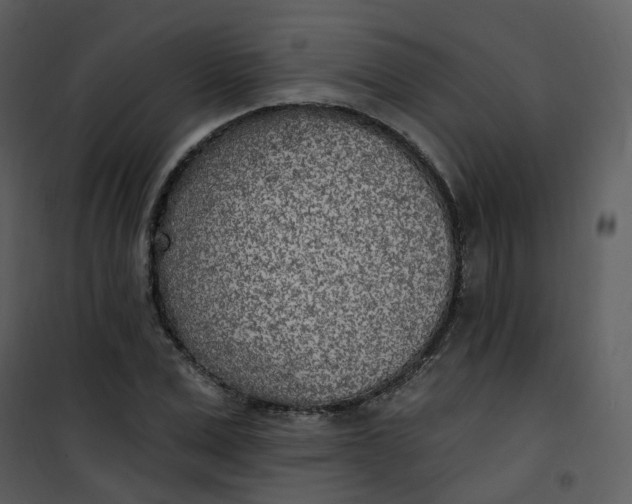 X0000101180975200807181444