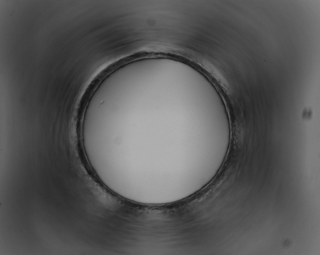 X0000101180976200807181444