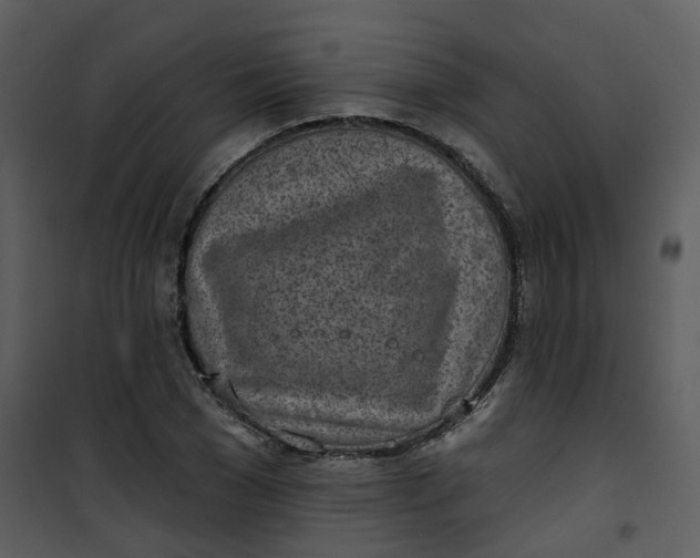 X0000101180977200807181444