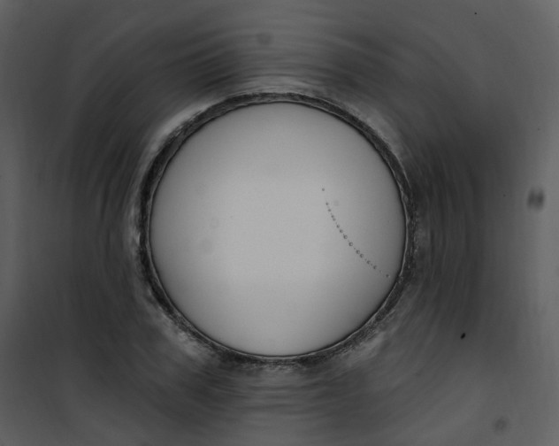 X0000101180979200807181444