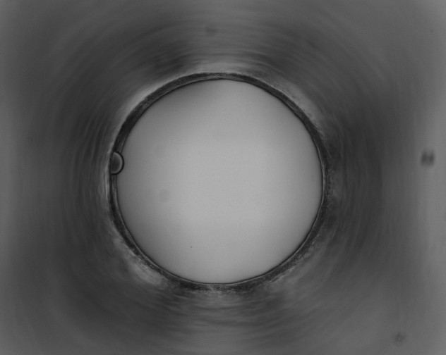 X0000101180980200807181444