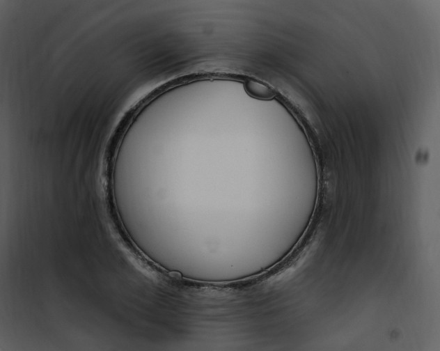 X0000101180981200807181444