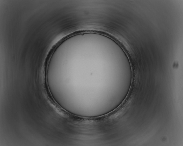 X0000101180982200807181444