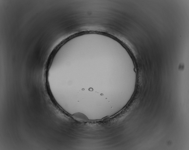 X0000101180983200807181444