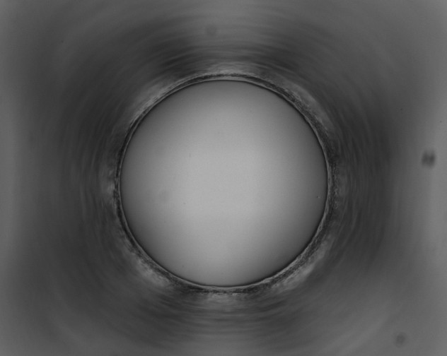 X0000101180985200807181444