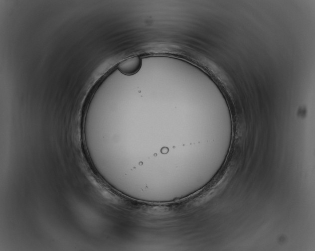 X0000101180986200807181444