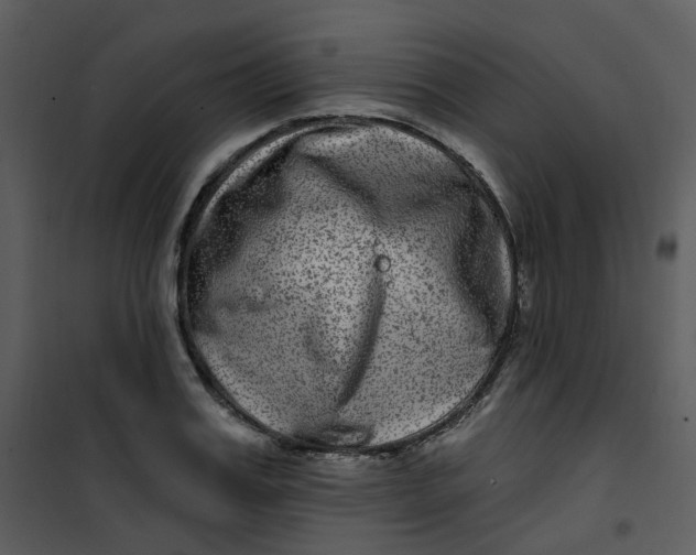 X0000101180987200807181444