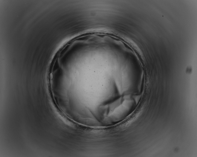 X0000101180989200807181444