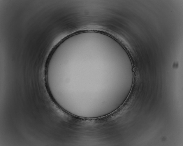 X0000101180990200807181444