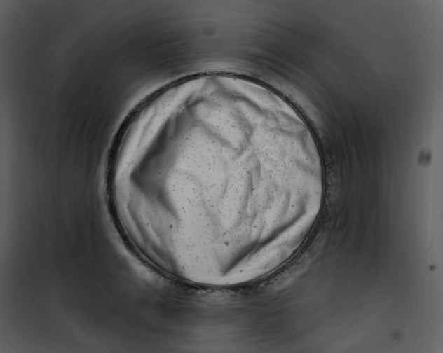 X0000101180991200807181443