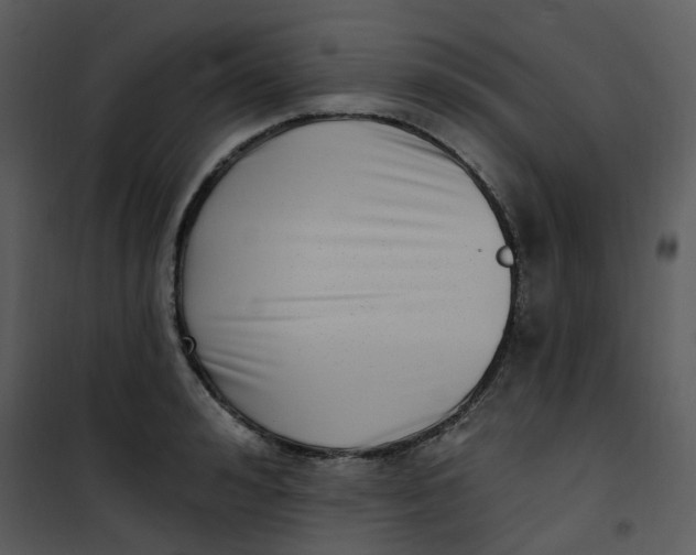 X0000101180992200807181443