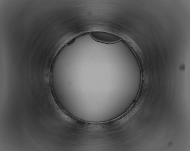 X0000101180993200807181443