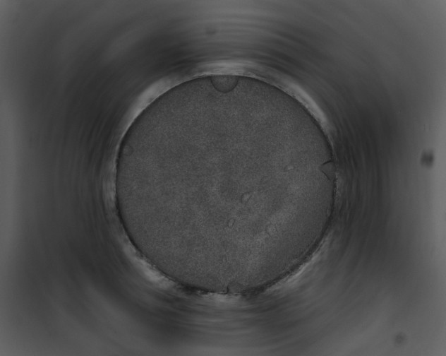 X0000101180994200807181443