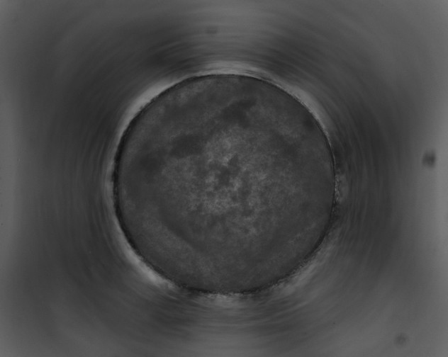 X0000101180995200807181443