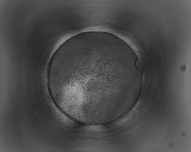 X0000101180998200807181443