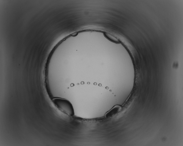 X0000101180999200807181443