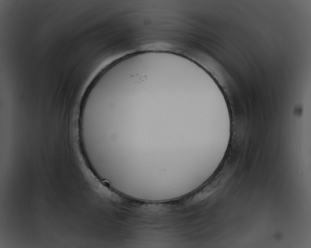 X0000101181000200807181443