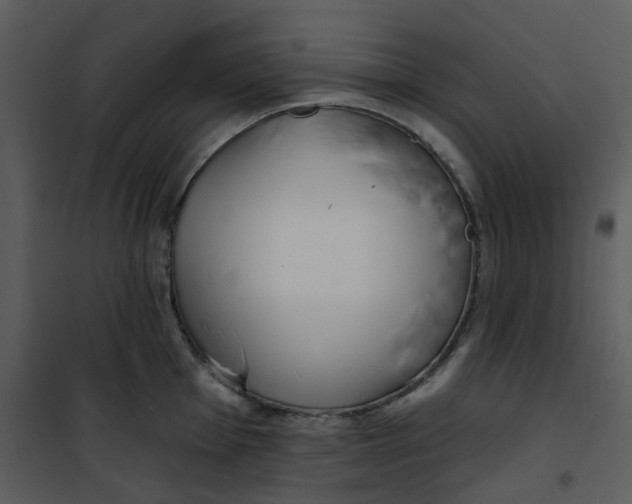 X0000101181001200807181443