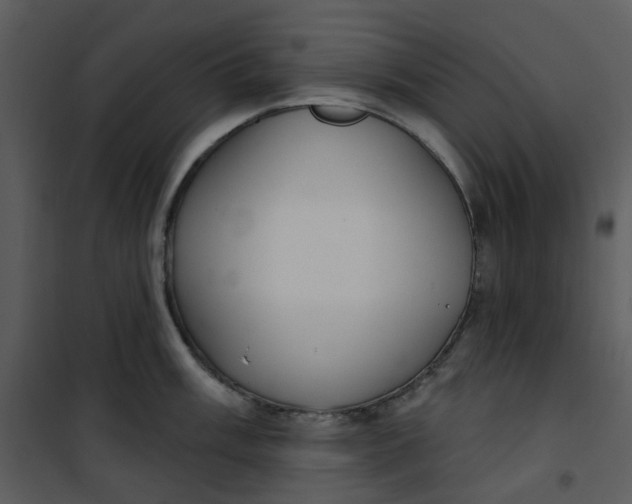 X0000101181003200807181443