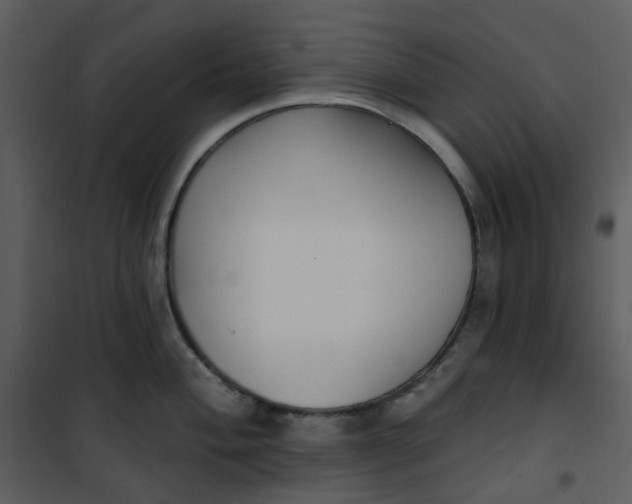 X0000101181004200807181443