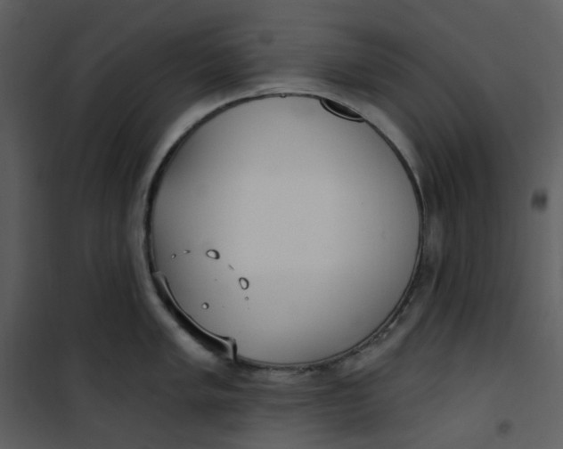 X0000101181005200807181443