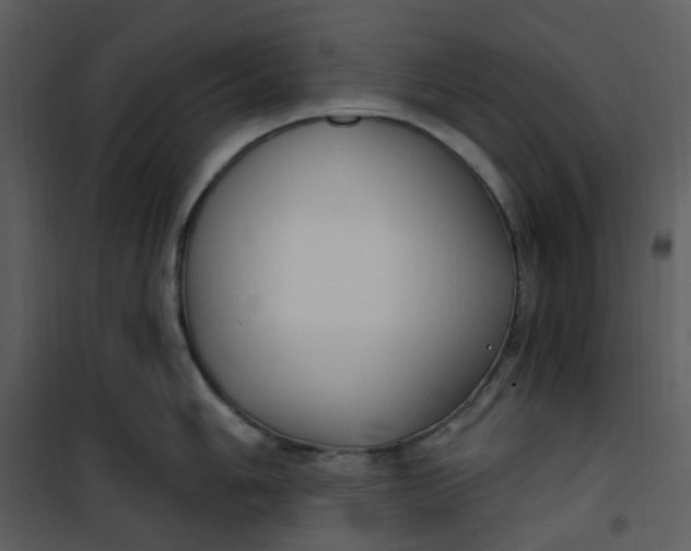 X0000101181006200807181443