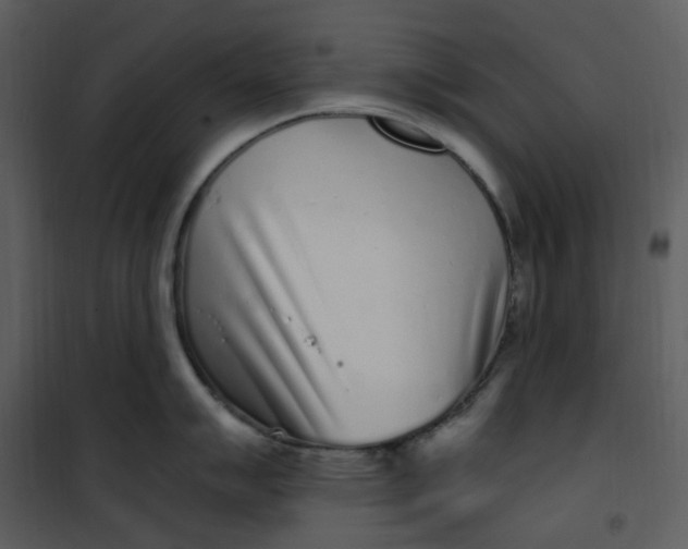 X0000101181007200807181443