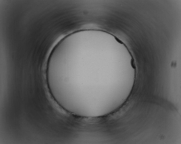 X0000101181008200807181443