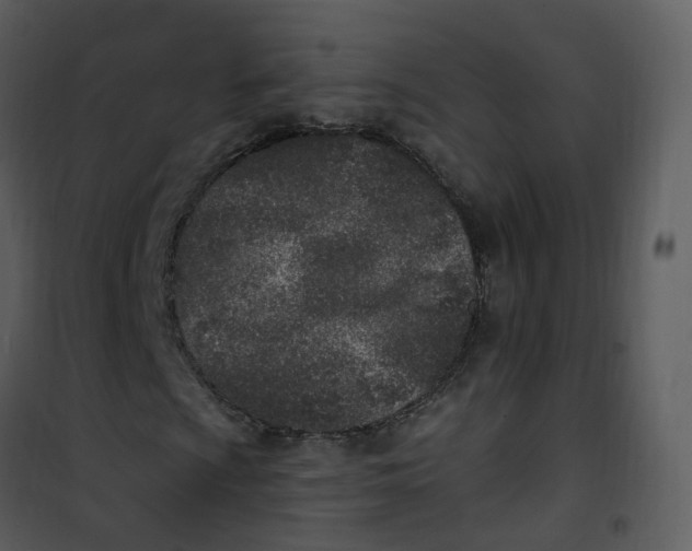 X0000101181009200807181442