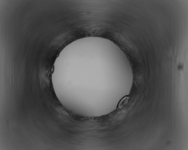 X0000101181010200807181442